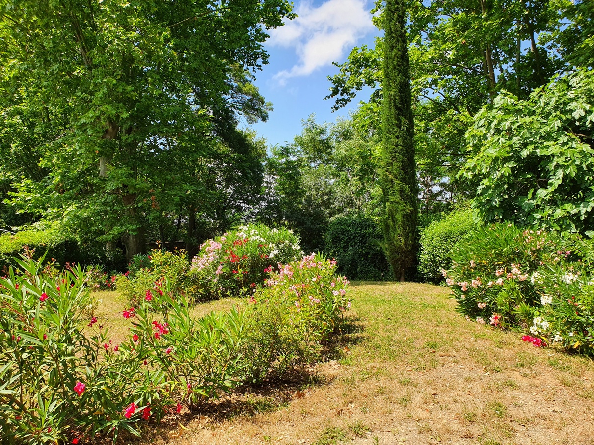 Prieuré Saint Martial (the park)