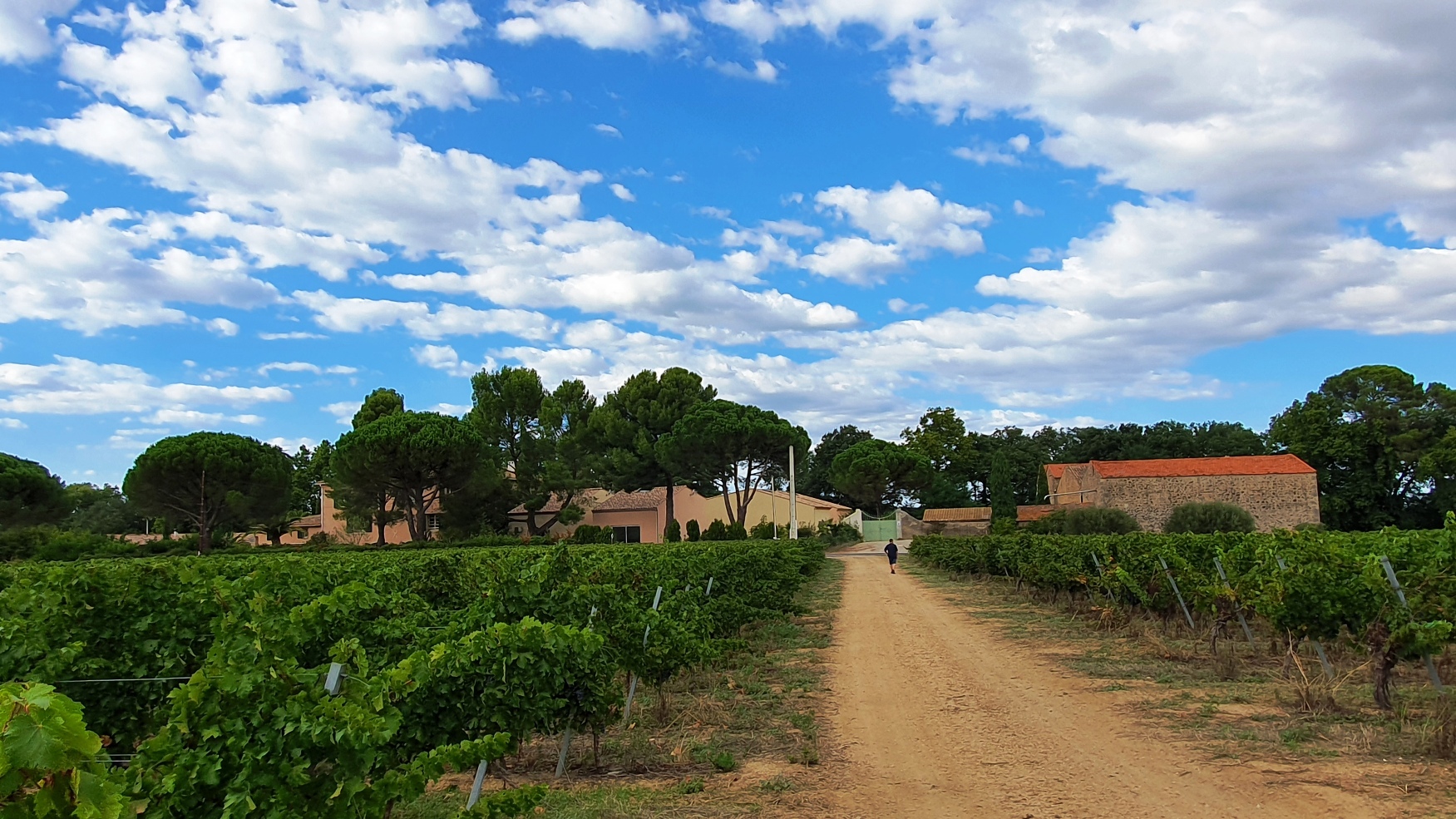 Prieuré Saint Martial (view from the vineyards)