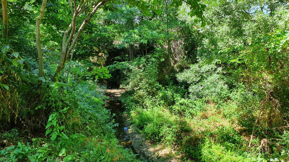 Prieuré Saint Martial (park and rivulet)